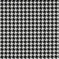 Kangas Burrata col 101