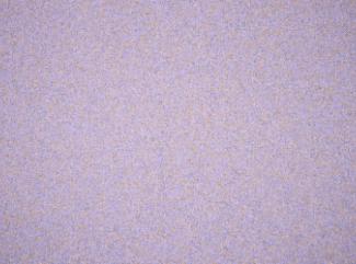 Kangas Coco 9592 Lavender Kangas Coco 9592 Lavender
