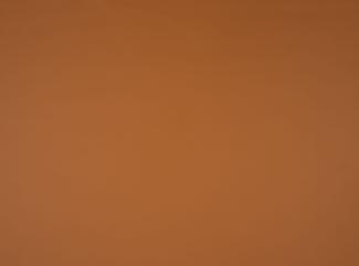 Illusion 3.0, 44184 Buckskin Illusion 3.0, 44184 Buckskin
