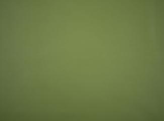 Illusion 3.0, 73677 Cedar green Illusion 3.0, 73677 Cedar green