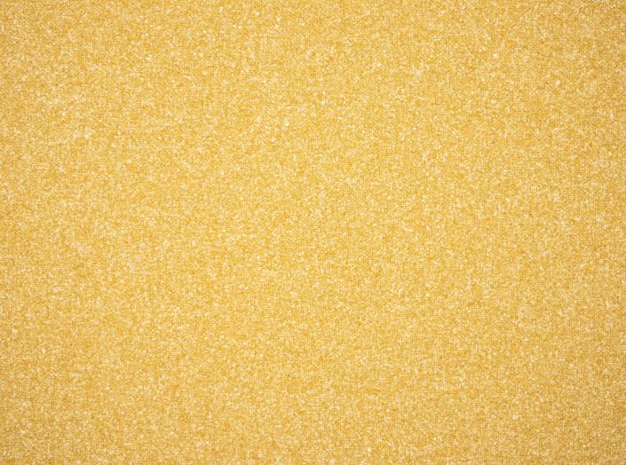 Kangas Coco 3005 Corn Kangas Coco 3005 Corn