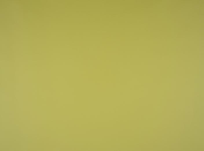 Illusion 3.0, 74007 Linden green Illusion 3.0, 74007 Linden green