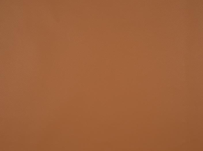 Fjord 34, Camel Fjord 34, Camel