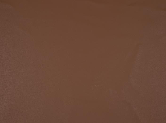 Fjord 10, Brown Fjord 10, Brown