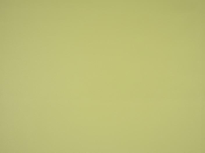 Fjord 27, Wild lime Fjord 27, Wild lime