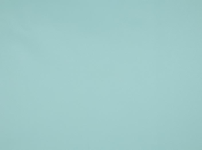 Fjord 29, Aqua Fjord 29, Aqua